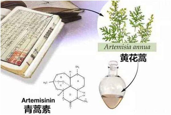 江南在线登录入口：向中医药看齐，与世界共享中医药文化(图1)